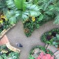 Aerial view of curved paths amid multiple shades of green foliage