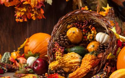 Thanksgiving hours to take effect | Worthington Libraries