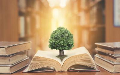 Tree growing out of a book