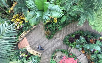 Aerial view of curved paths amid multiple shades of green foliage