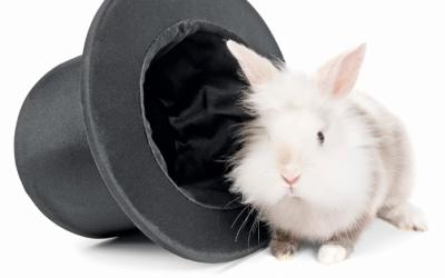 Rabbit next to a top hat